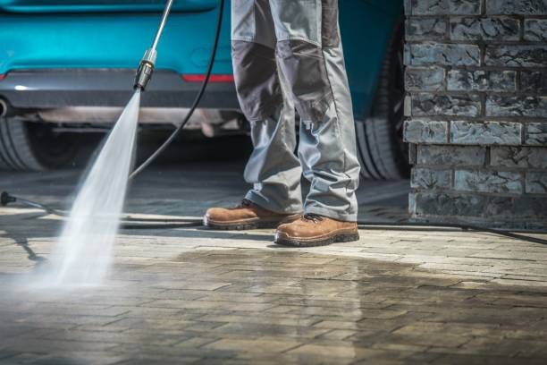 Boat and Dock Cleaning in Shenandoah, LA