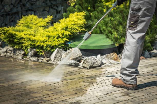 Best Driveway Pressure Washing  in Shenandoah, LA