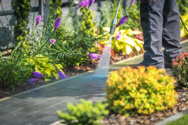 Professional Pressure Washing in Shenandoah, LA
