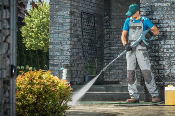 Best Roof Washing  in Shenandoah, LA